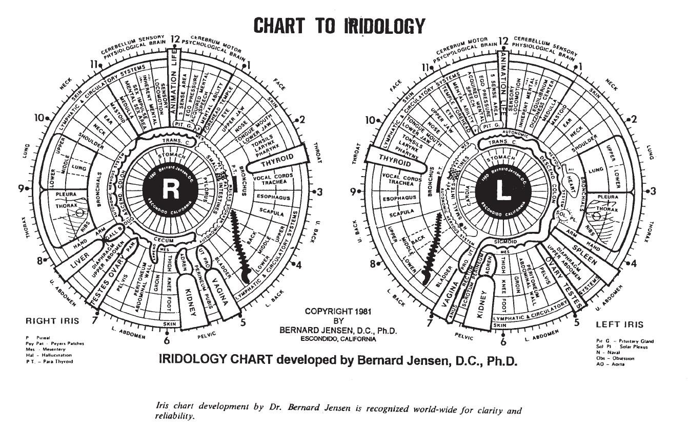 Cómo Leer un Mapa de Iridología