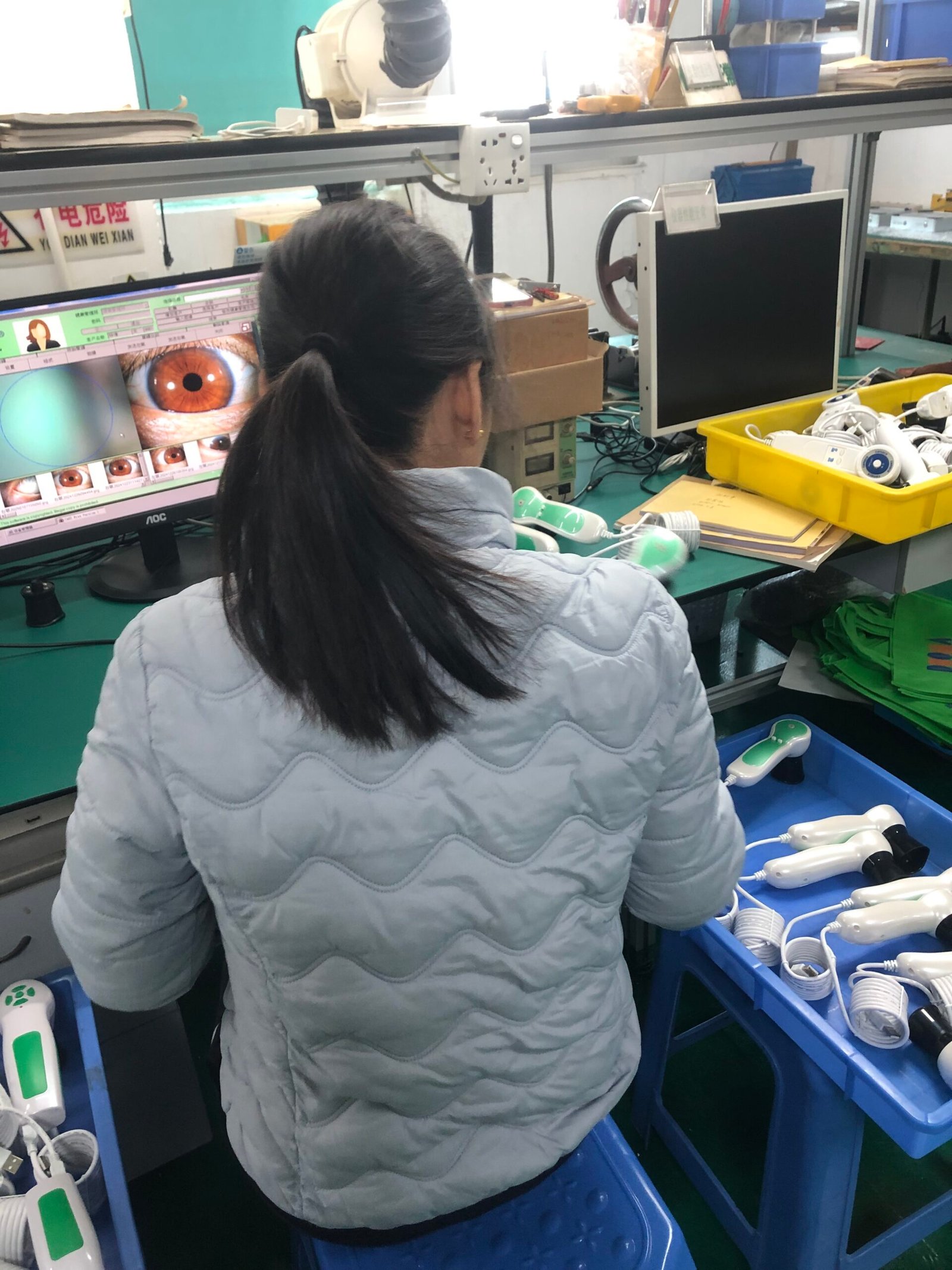 Iridoscopia Digital Computarizada