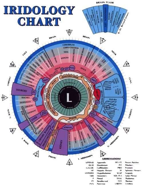 Mapas de Iridología