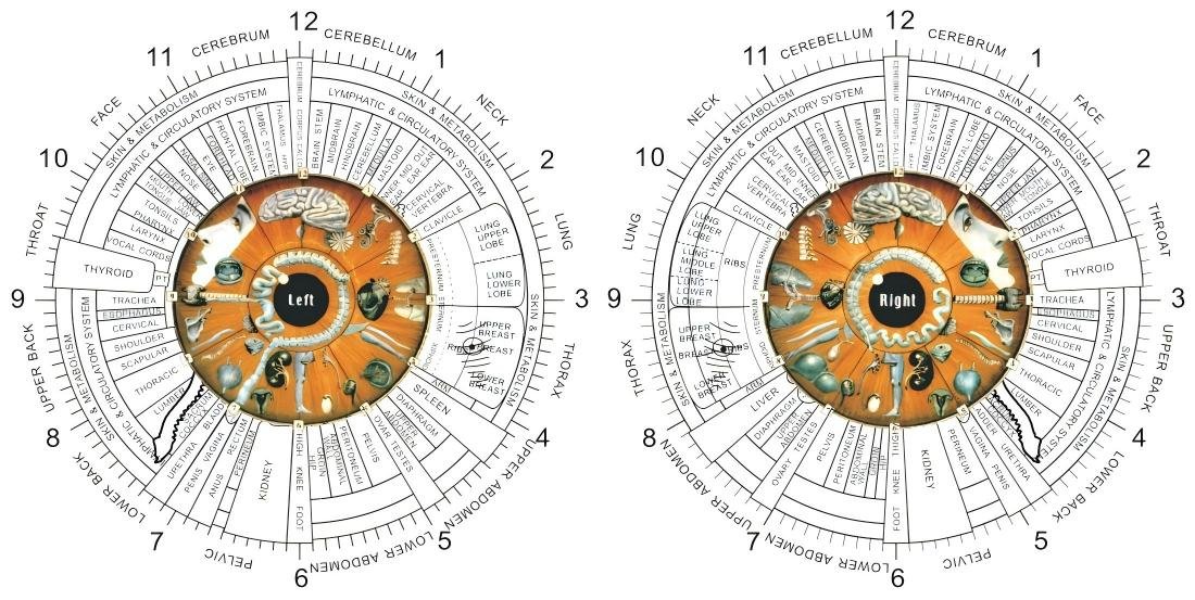 4.1 Mapas de iridología del ojo izquierdo y derecho