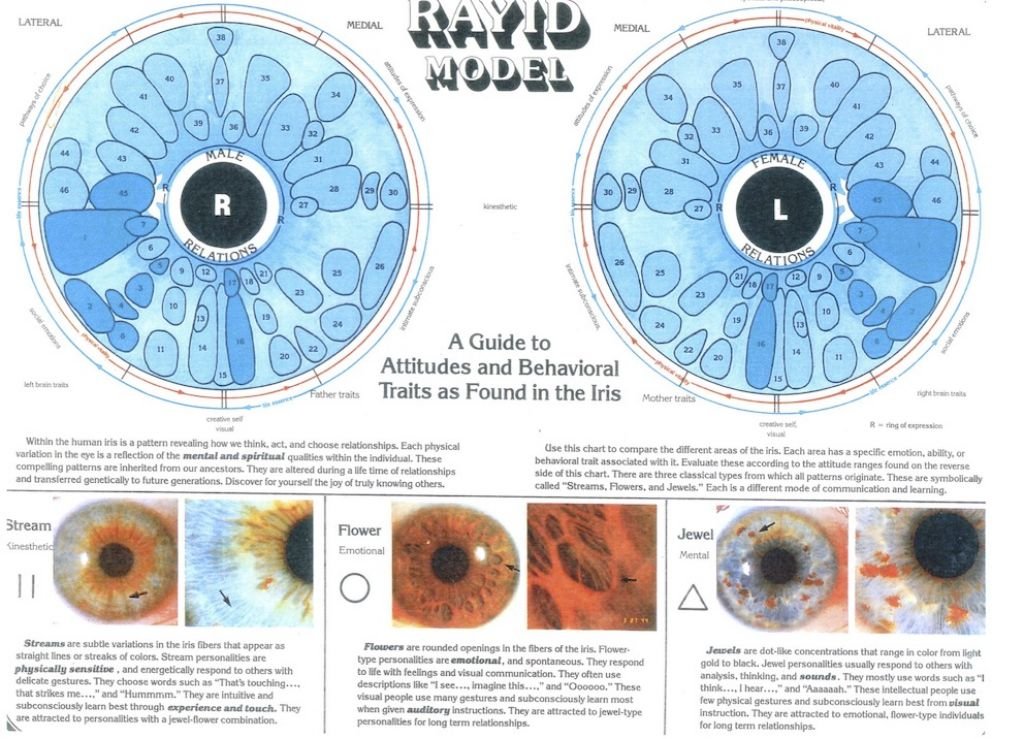 iridologia mappa