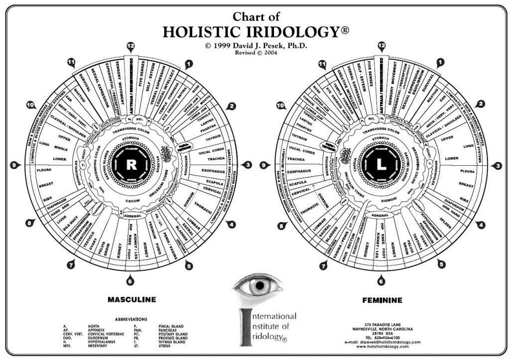 iridologia mappa