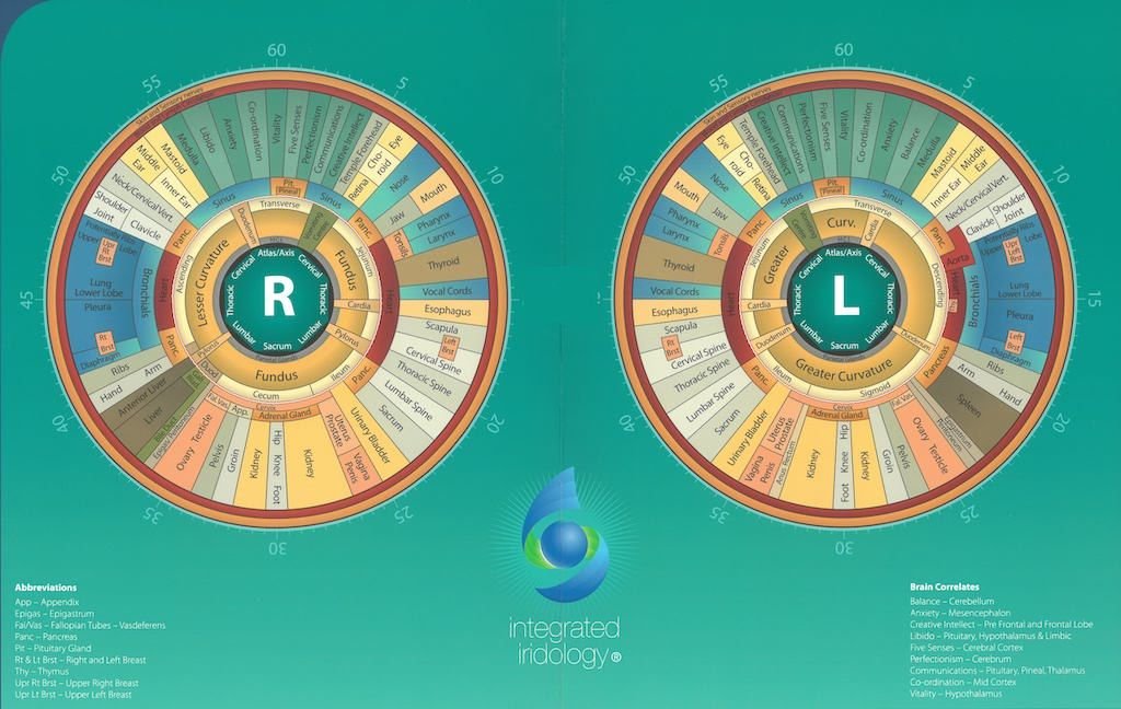 iridologia mappa