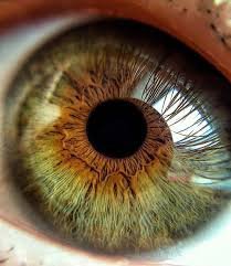 IRIDOLOGY