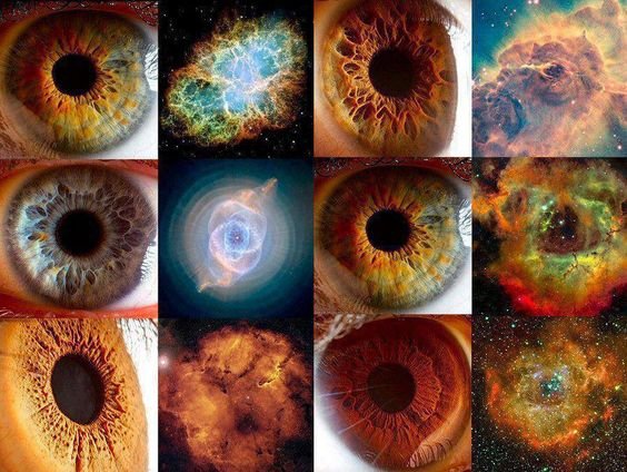 IRIDOLOGY