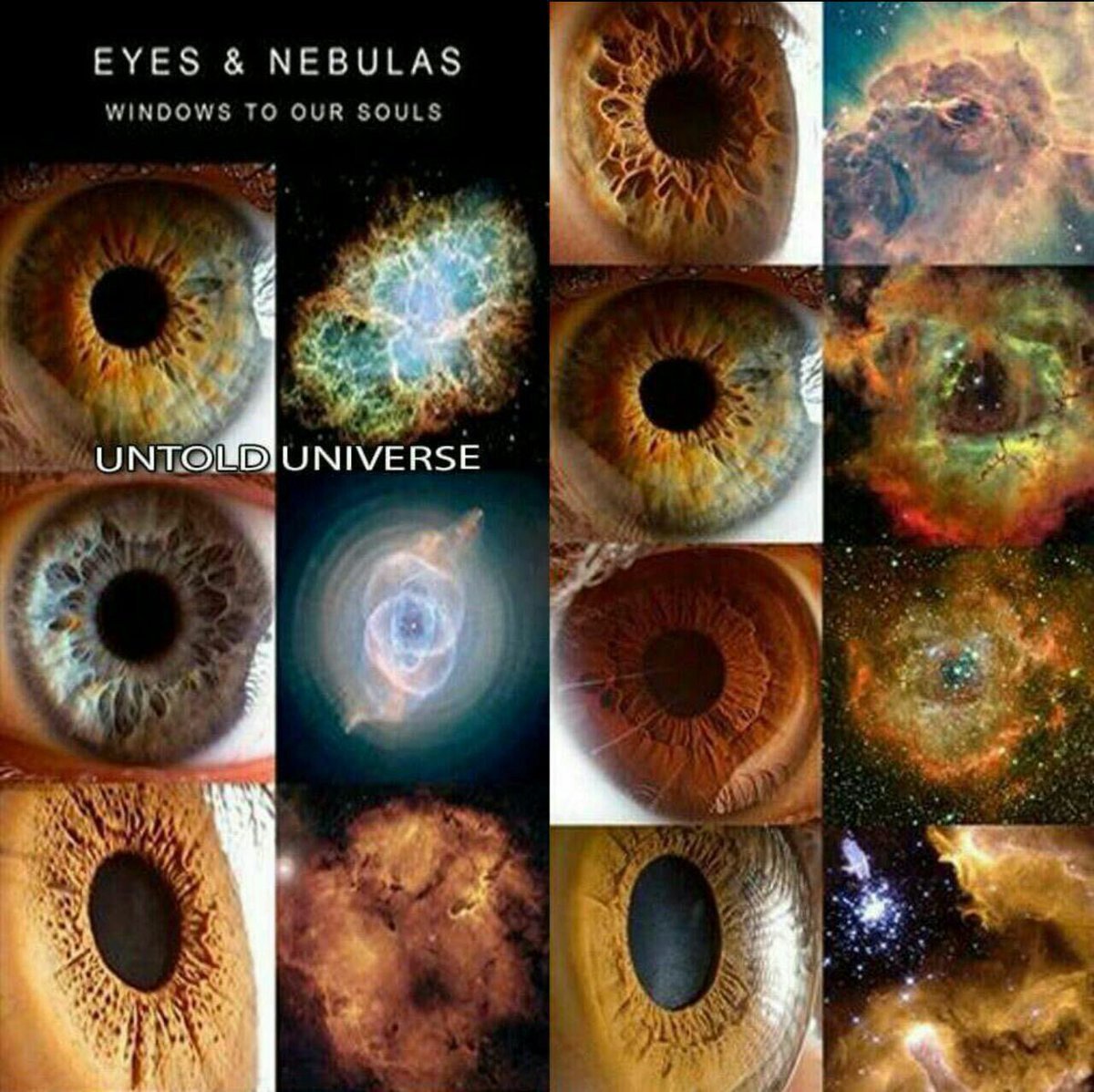 IRIDOLOGY